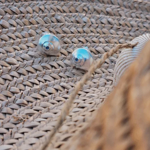 Brincos Nereide Azul